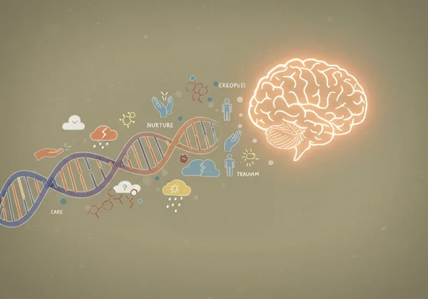 Intertwined DNA helix and environmental factors influencing mind